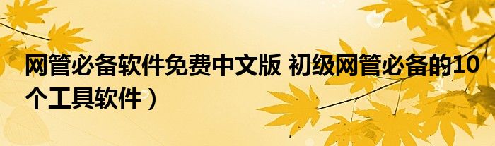 网管必备软件免费中文版 初级网管必备的10个工具软件)