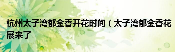杭州太子湾郁金香开花时间(太子湾郁金香花展来了