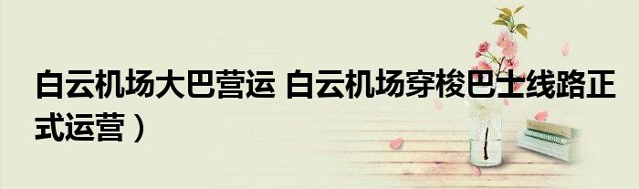 白云机场大巴营运 白云机场穿梭巴士线路正式运营)