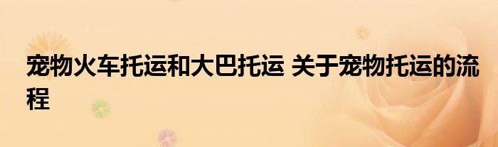宠物火车托运和大巴托运 关于宠物托运的流程