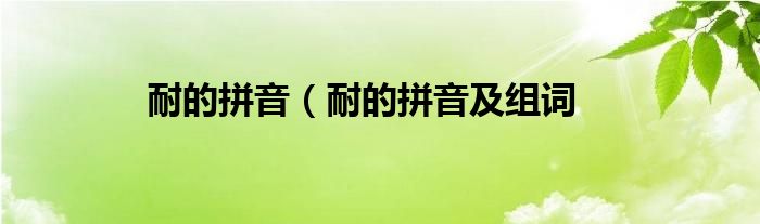 耐的拼音(耐的拼音及组词