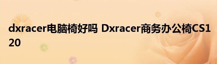dxracer电脑椅好吗 Dxracer商务办公椅CS120