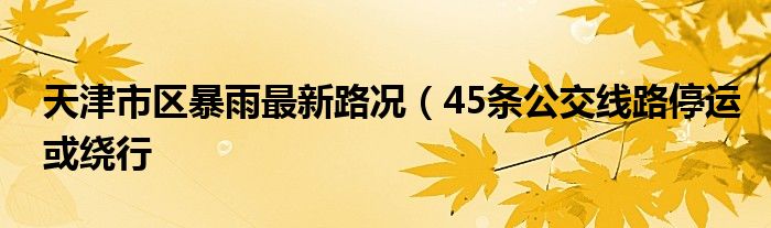 天津市区暴雨最新路况(45条公交线路停运或绕行