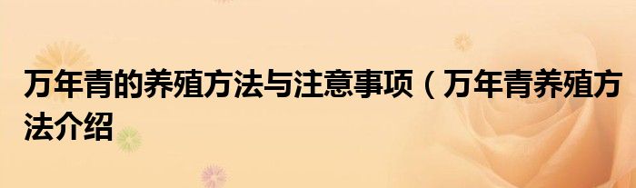 万年青的养殖方法与注意事项(万年青养殖方法介绍