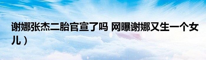 谢娜张杰二胎官宣了吗 网曝谢娜又生一个女儿)