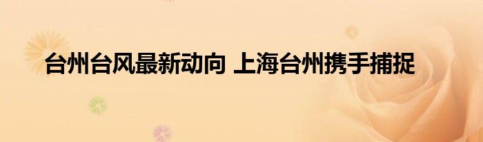 台州台风最新动向 上海台州携手捕捉