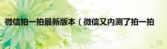 微信拍一拍最新版本(微信又内测了拍一拍