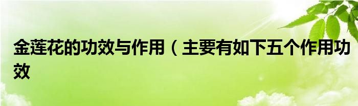 金莲花的功效与作用(主要有如下五个作用功效
