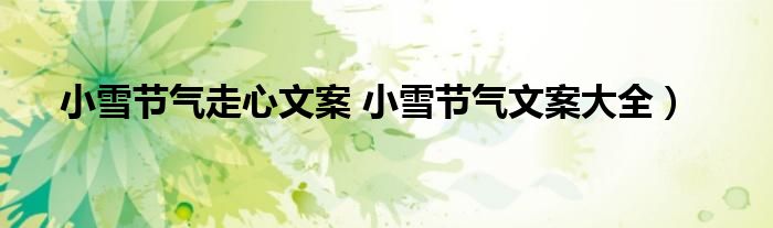 小雪节气走心文案 小雪节气文案大全)