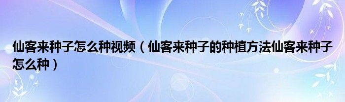 仙客来种子怎么种视频(仙客来种子的种植方法仙客来种子怎么种)