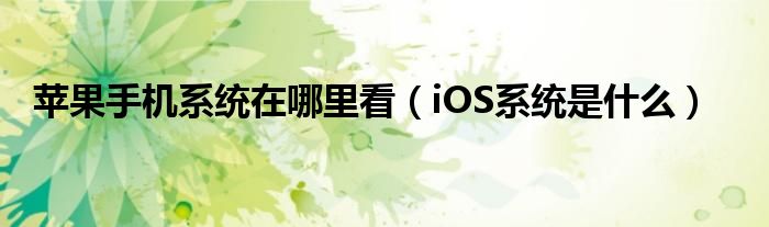 苹果手机系统在哪里看(iOS系统是什么)