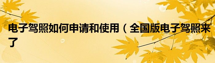 电子驾照如何申请和使用(全国版电子驾照来了