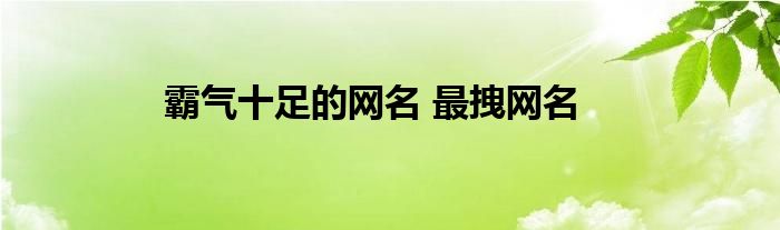 霸气十足的网名 最拽网名