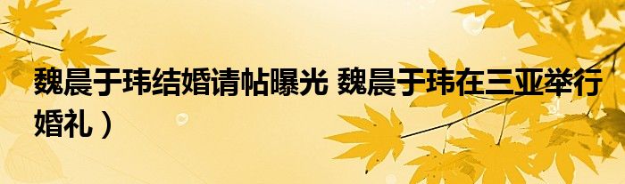 魏晨于玮结婚请帖曝光 魏晨于玮在三亚举行婚礼)