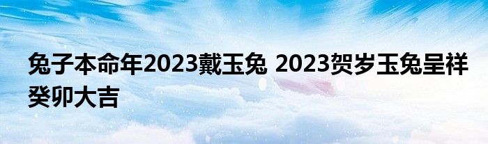 兔子本命年2023戴玉兔 2023贺岁玉兔呈祥癸卯大吉