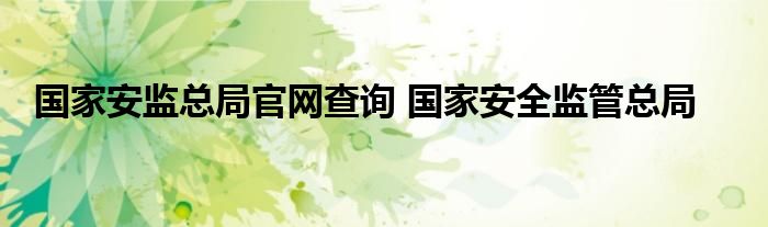 国家安监总局官网查询 国家安全监管总局