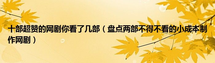 十部超赞的网剧你看了几部(盘点两部不得不看的小成本制作网剧)