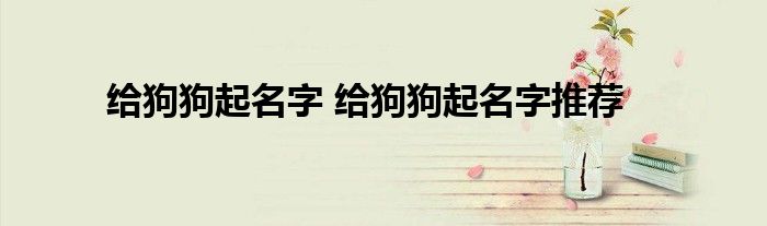 给狗狗起名字 给狗狗起名字推荐