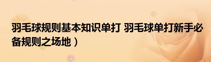 羽毛球规则基本知识单打 羽毛球单打新手必备规则之场地）