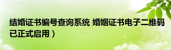 结婚证书编号查询系统 婚姻证书电子二维码已正式启用）