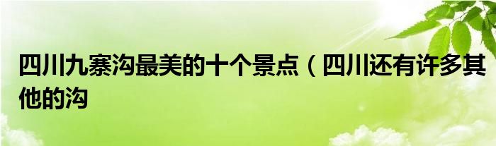 四川九寨沟最美的十个景点(四川还有许多其他的沟