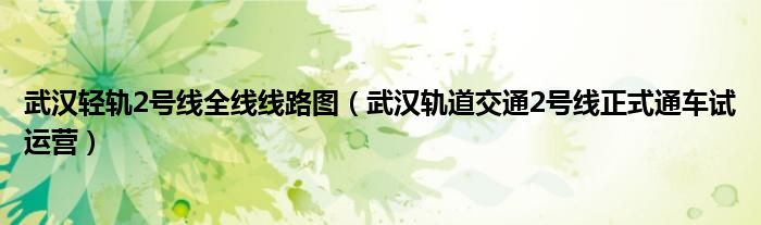 武汉轻轨2号线全线线路图(武汉轨道交通2号线正式通车试运营)
