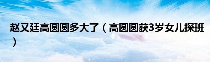 赵又廷高圆圆多大了(高圆圆获3岁女儿探班)