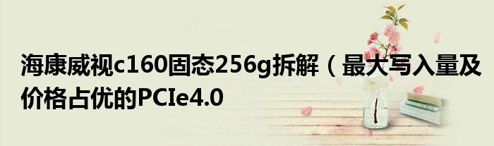 海康威视c160固态256g拆解（最大写入量及价格占优的PCIe4.0