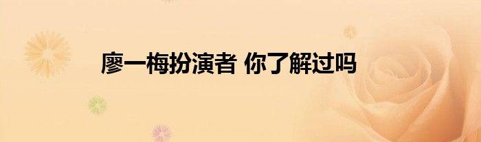 廖一梅扮演者 你了解过吗