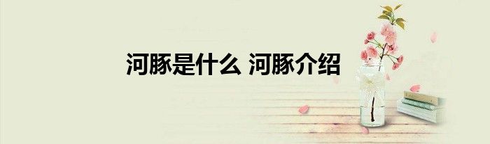 河豚是什么 河豚介绍