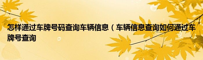 怎样通过车牌号码查询车辆信息（车辆信息查询如何通过车牌号查询