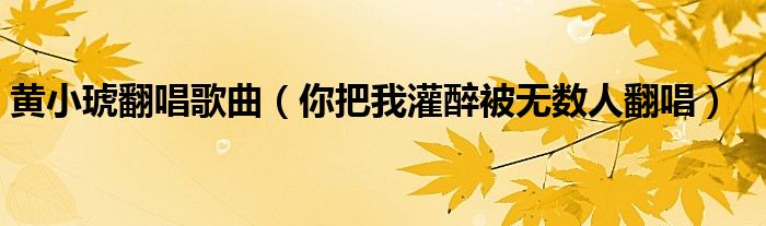 黄小琥翻唱歌曲(你把我灌醉被无数人翻唱)