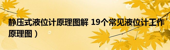 静压式液位计原理图解 19个常见液位计工作原理图)