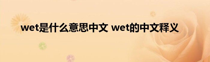 wet是什么意思中文 wet的中文释义