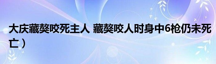 大庆藏獒咬死主人 藏獒咬人时身中6枪仍未死亡)