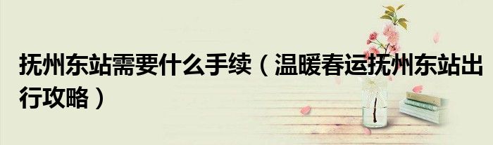 抚州东站需要什么手续(温暖春运抚州东站出行攻略)