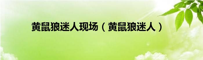 黄鼠狼迷人现场(黄鼠狼迷人)