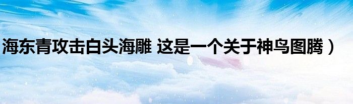海东青攻击白头海雕 这是一个关于神鸟图腾)