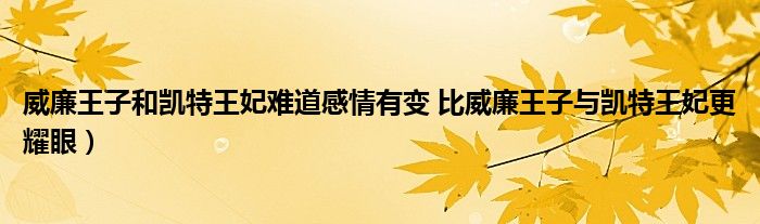 威廉王子和凯特王妃难道感情有变 比威廉王子与凯特王妃更耀眼）