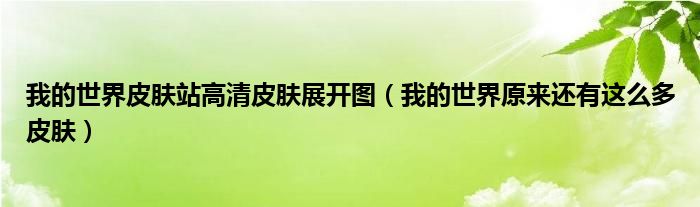 我的世界皮肤站高清皮肤展开图(我的世界原来还有这么多皮肤)