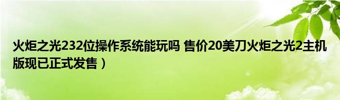火炬之光232位操作系统能玩吗 售价20美刀火炬之光2主机版现已正式发售)