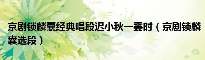 京剧锁麟囊经典唱段迟小秋一霎时(京剧锁麟囊选段)