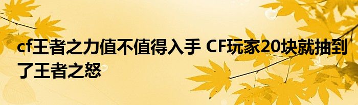 cf王者之力值不值得入手 CF玩家20块就抽到了王者之怒