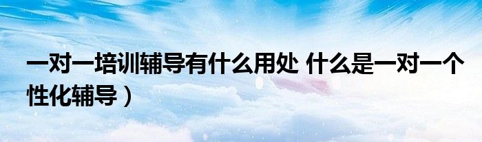 一对一培训辅导有什么用处 什么是一对一个性化辅导)