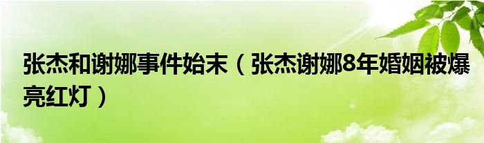 张杰和谢娜事件始末(张杰谢娜8年婚姻被爆亮红灯)