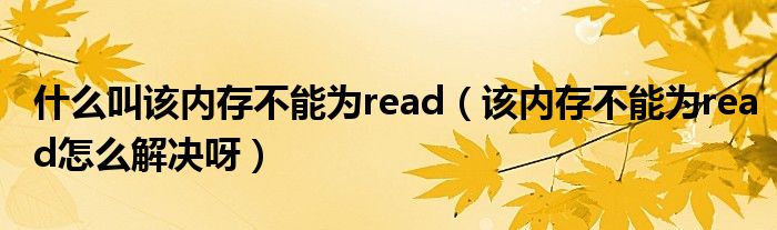 什么叫该内存不能为read(该内存不能为read怎么解决呀)