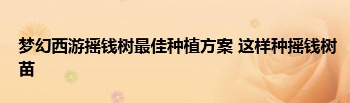 梦幻西游摇钱树最佳种植方案 这样种摇钱树苗