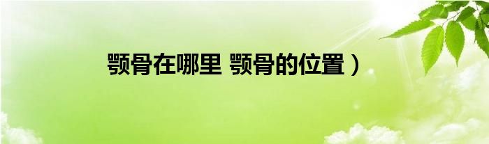 颚骨在哪里 颚骨的位置)