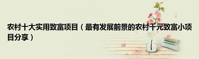 农村十大实用致富项目(最有发展前景的农村千元致富小项目分享)
