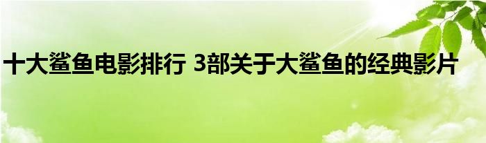 十大鲨鱼电影排行 3部关于大鲨鱼的经典影片